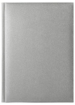 Notes Arizona srebrny