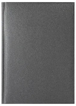 Notes Arizona szary