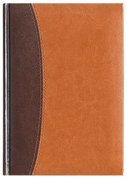Notes Bolonia ciemny brąz/jasny brąz