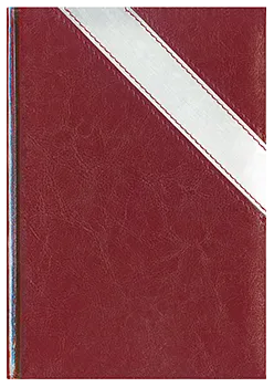 Notes Colorado bordowy/srebrny