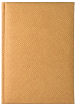 Notes Delhi miodowy