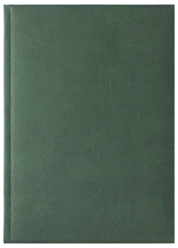 Notes Delhi zielony
