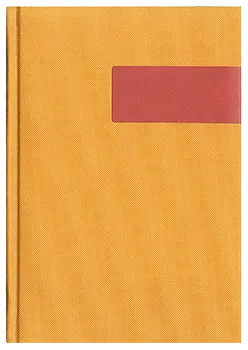 Notes Dublin miodowy/bordowy