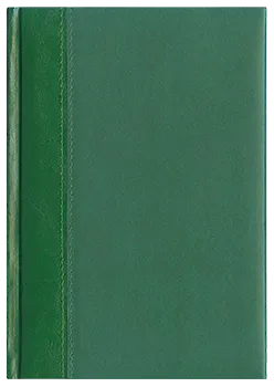 Notes Genewa zielony/zielony