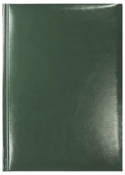 Notes Mexico zielony