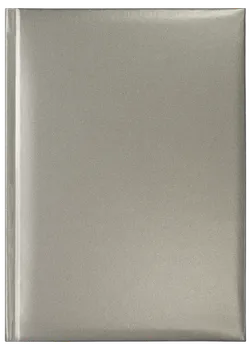 Notes Rio srebrny