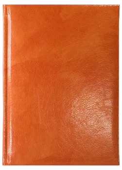 Notes Rubena pomarańczowy