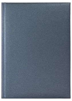 Notes Salvador niebieski