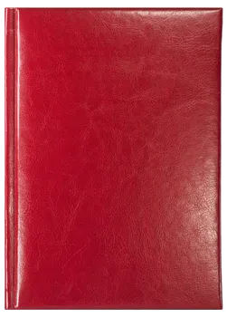 Notes Sydney czerwony