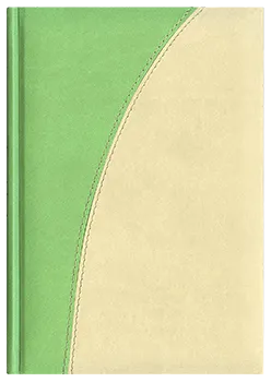 Notes Verona seledynowy/kość słoniowa
